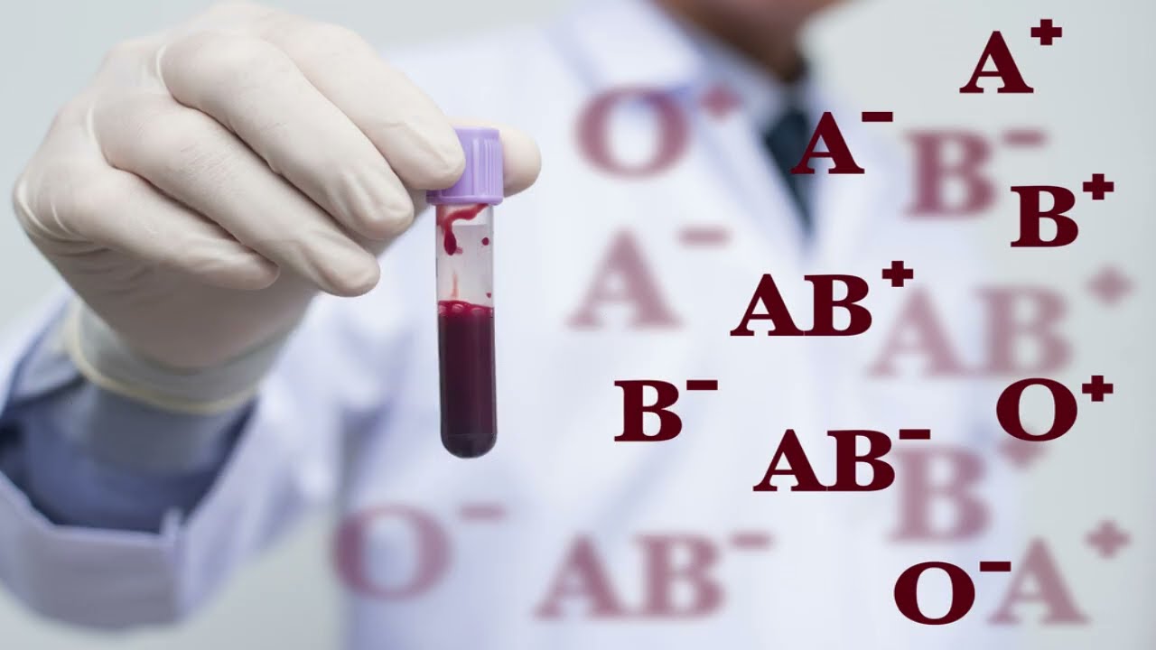 ABO system and Rhésus system for grouping different blood groups