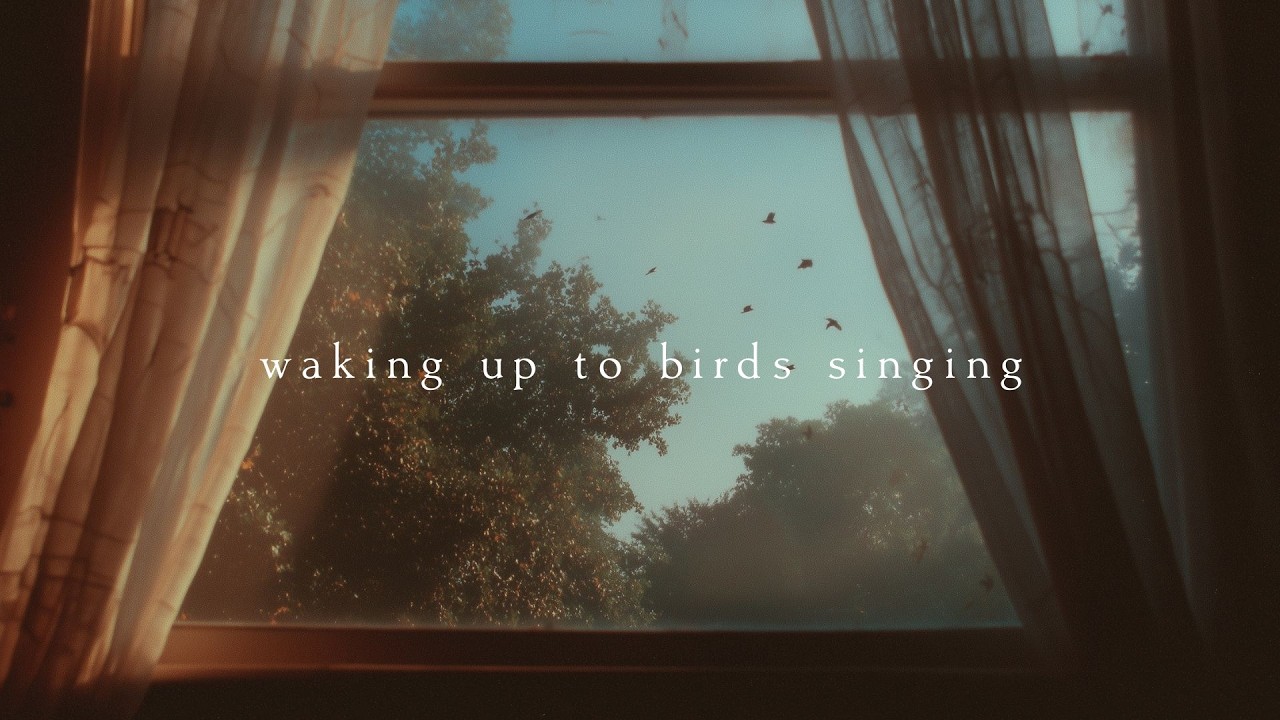 Waking up to birds singing | Piano Playlist