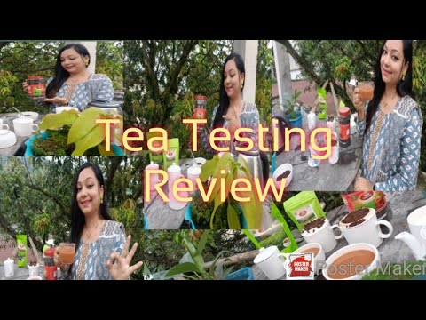 Tea testing review, tea business @jyotipariyar5044 - YouTube