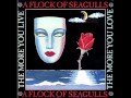 A flock of seagulls  the more you live the more you love