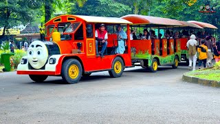 Download Lagu 🚅 🐘🐅 🚂 THOMAS - ODONG ODONG YANG KU TUNGGU MP3