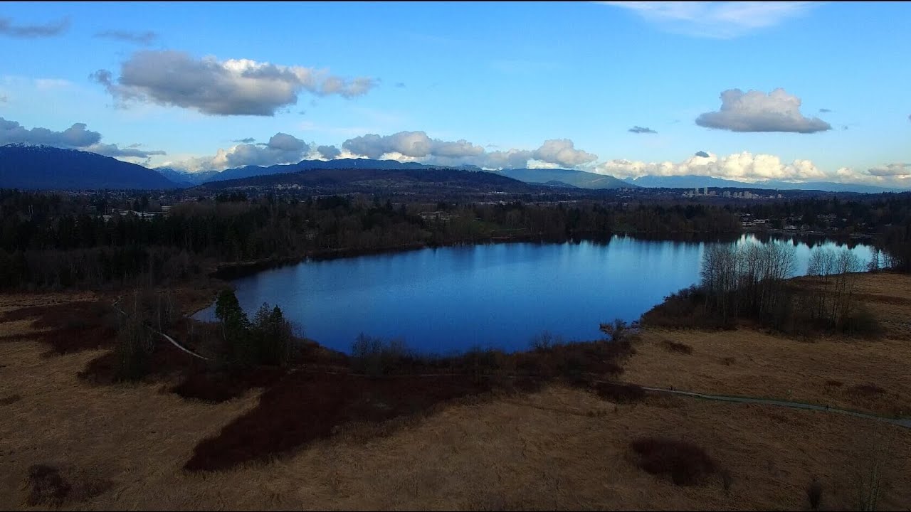 Deer Lake, BURNABY, BC, CANADA YouTube