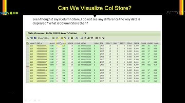 HDB  009   Can we visualize Column Store in SE16N