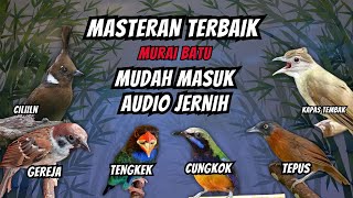 Masteran Burung Fighter Full Isian Tembakan Kasar Panjang