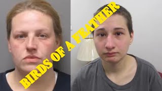 Famous BRI ATTACKS, DISCREDITS & TRIES TO INSULT other content creators reporting ON HER ARREST Net Worth