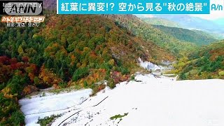 “地獄の絶景”今年は異変　秋田の紅葉、見頃早まる(17/10/20)