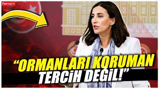 Evrim Rızvanoğlu: Ormanları korumak bir tercih değil devletin temel görevlerinden biridir!