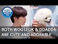 Both Wooseok & Ddadda are cute and adorable [Dogs are incredible/ENG/2020.06.17]