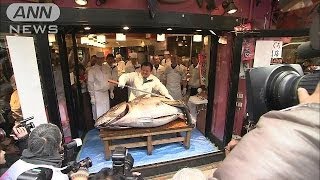 築地のマグロ初競り　去年1億5000万円・・・今年は？（14/01/05）