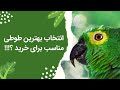انتخاب بهترین پرنده برای خرید همراه با قیمت از ۱۰۰ هزارتومان تا ۱۰۰ میلیون تومان انتخاب بهترین پرنده برای خرید همراه با قیمت از ۱۰۰ هزارتومان تا ۱۰۰ میلیون تومان