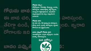 Health benefits of wheat #shorts #ytshorts #healthtips #telugu