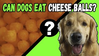 Can Dogs Eat Cheese Balls?