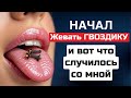 Просто начал жевать ГВОЗДИКУ, и избавился от 10 недугов!!! Польза и вред ГВОЗДИКИ!