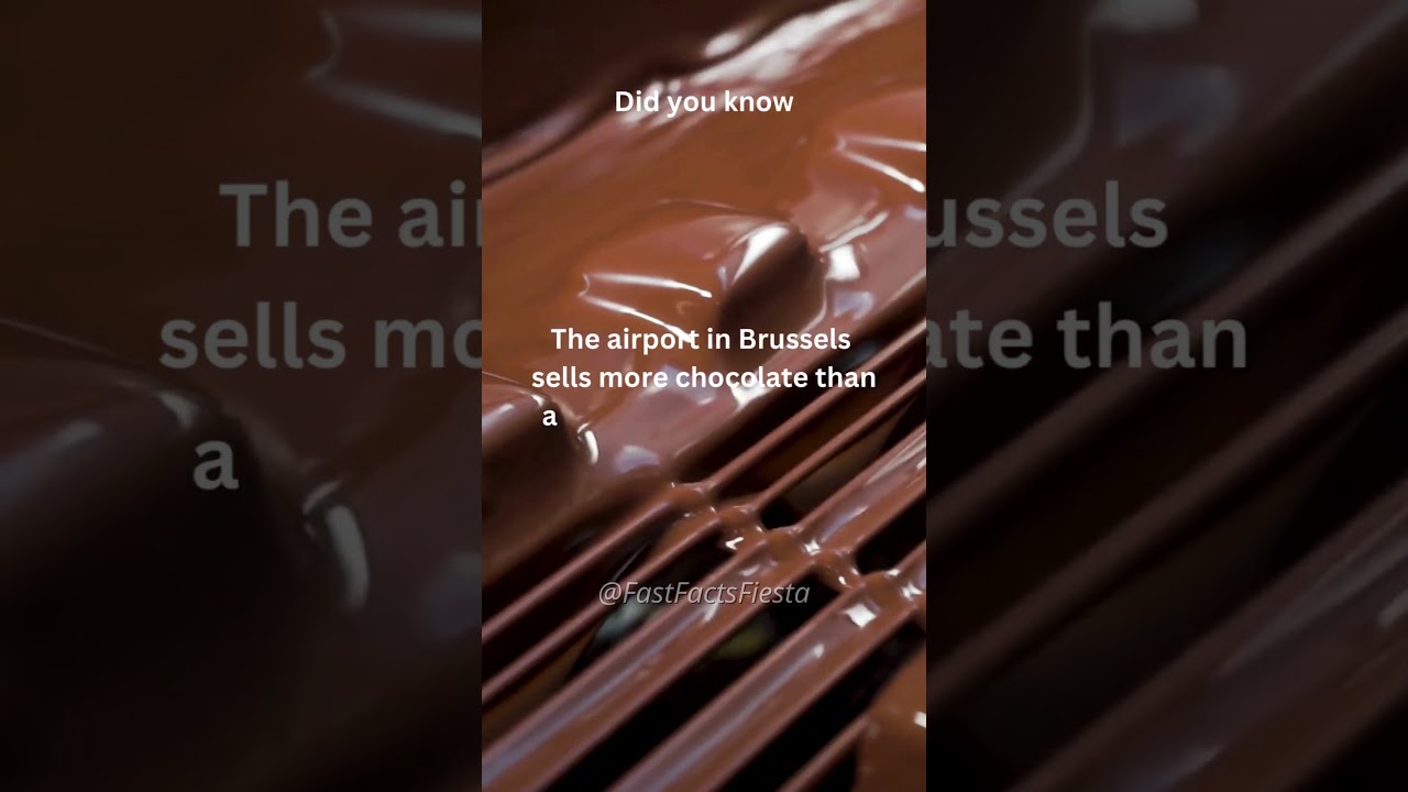 Discover the Chocolate Wonderland at Brussels Airport! 🍫 