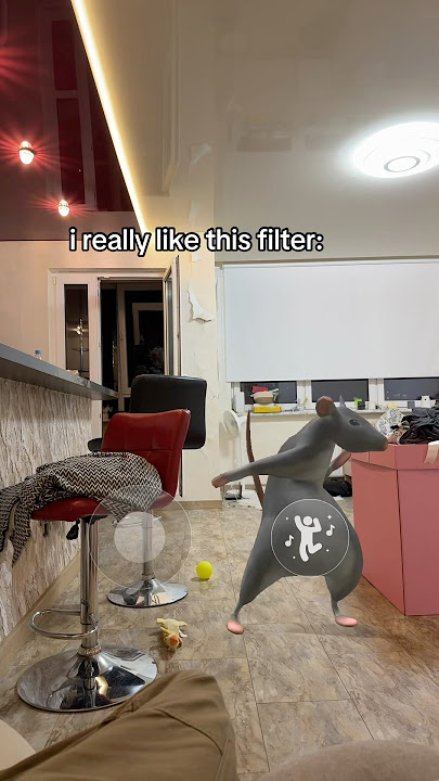Dancing Rat Filter🐀