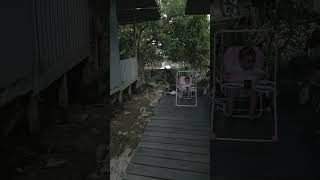 DJI Mini 3 Pro #dji #drone #jalanyangjauhjanganlupapulang
