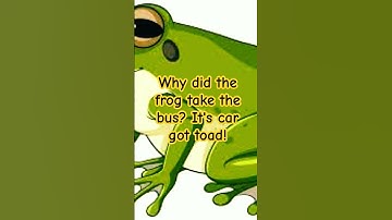 Frog Jokes! #funny #frogs #humor #thejokester