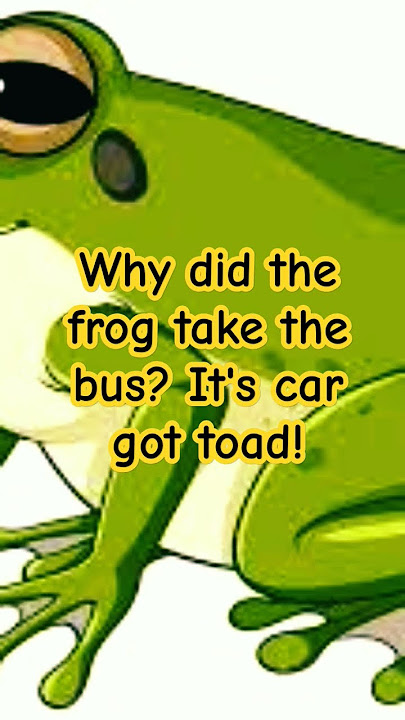 Frog Jokes! #funny #frogs #humor #thejokester