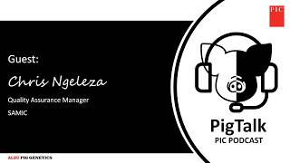 Pigtalk Ep7 Samic Carcass Competition