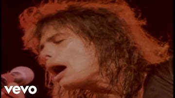 Aerosmith - Draw The Line (Live Texxas Jam 