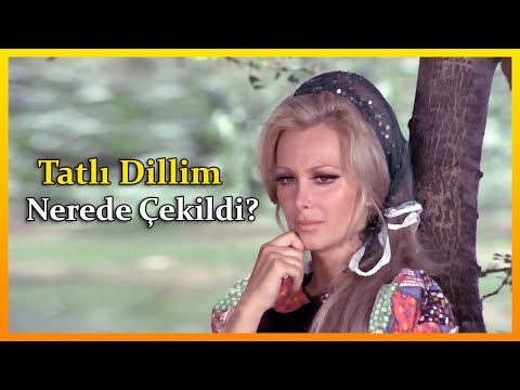 Tatlı Dillim Filmi Nerede Çekildi? ◀️ TÜM MEKANLAR