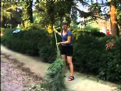 ასოციაცია \"ათინათი\"