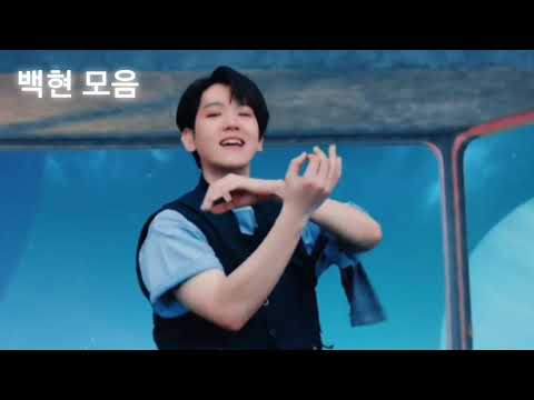 Don't fight the feeling 백현모음