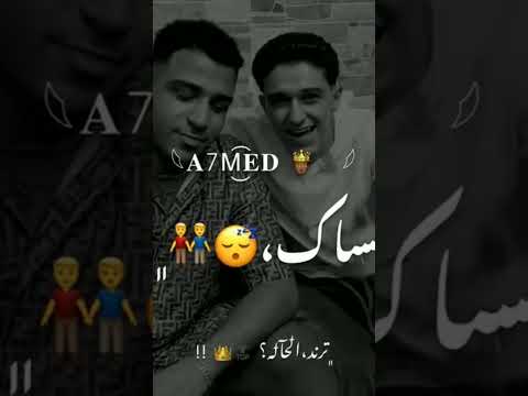 اول ما الحكم بيتقال شوف مين هيبقى معاك اغنية مهرجان سامر المدني كابونجا اخويا سامر المدني