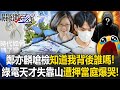 綠電醜聞與內鬥