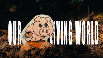 Our Living World | the Saufkeiler