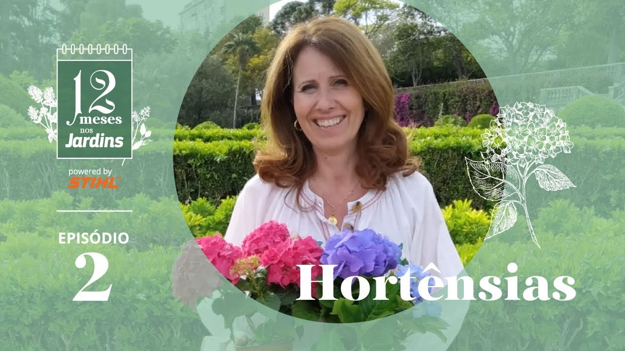 12 Meses Nos Jardins: Como Cultivar Hortênsias