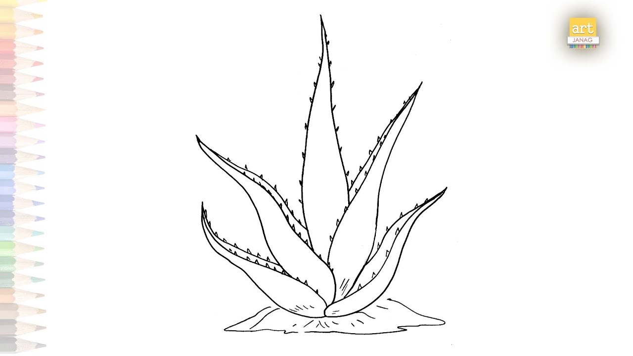 l aloe vera fresca erfahrungen LR Lifetakt Aloe Vera Drinking Gel Pfirsich-Geschmack main image 1
