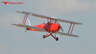 phoenix tiger moth