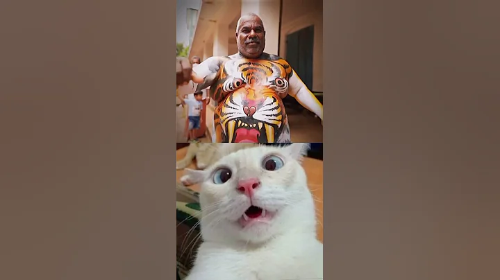 Watch the video about Funny cat💀 #cat #catlover #cutecat #funnycat #catvideos