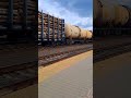 2тэ10ук на Могилёв 1 #2тэ10м #train #поездавидео #automobile #тэп70 #railway
