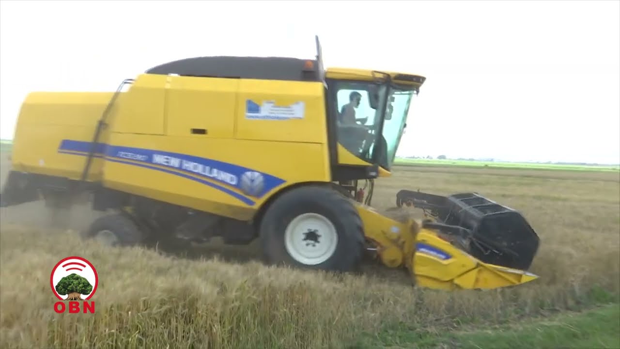 Sassaabbiin Oomisha qamadii A/Agaarfaatti gaggeeffamaa jira.