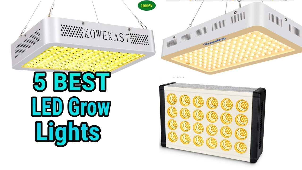 Top 5 LED Grow Lights 2020 YouTube