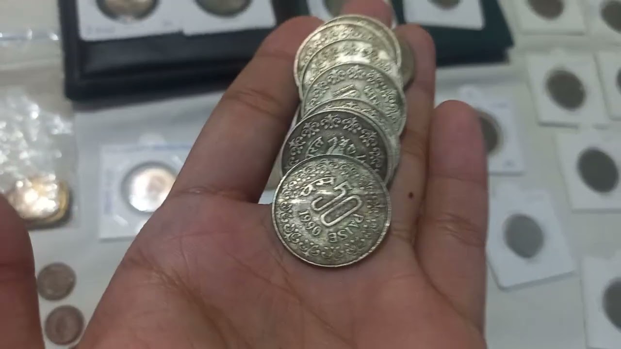 DONT MISSS THE CHANCE [73041 41577]