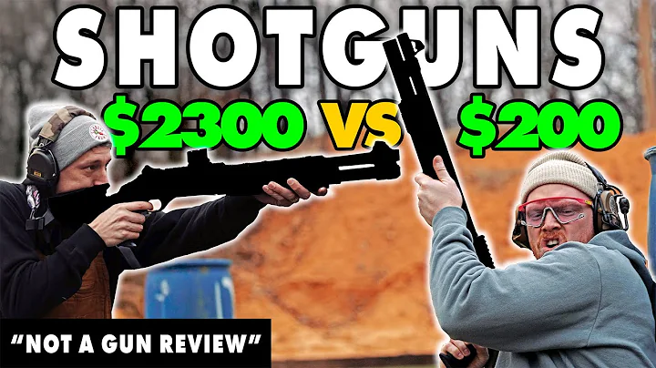 Expensive vs Budget Shotguns (Not A Gun Review)