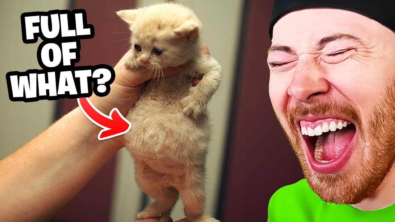 World's CUTEST Animals!
