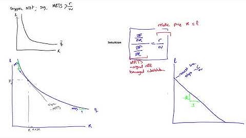 Principles of economics for scientists || 07 3 5  Cost minimization problem 14 06