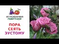 ПОРА СЕЯТЬ ЭУСТОМУ