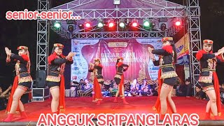 LIVE ANGGUK SRIPANGLARAS,DI PERGIWATU WETAN,SENTOLO,KULON PROGO