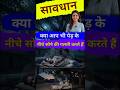 पेड़ के नीचे लेटना कितना खतरनाक #shorts #feed #shortsfeed #viral