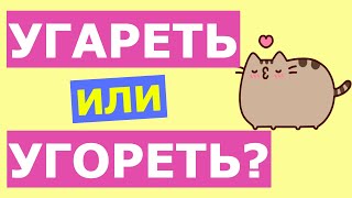 Русский язык🌸 тест ПОЗНАВАТЕЛЬНО❗ СМОЖЕТЕ ПРОЙТИ❓ #русскийязык #тестпорусскомуязыку