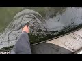 Чарыш 24.09.23