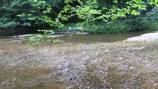 ASMR Soft Voice and Sounds of Nature - Relaxation screenshot 2