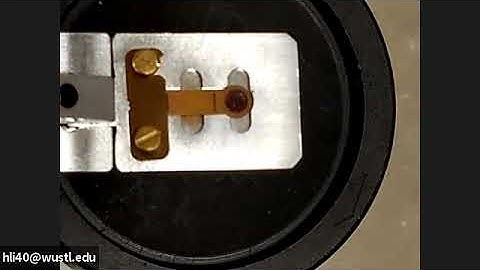 2100 TEM Training 1: Mount sample to the holder- Single tilt holder