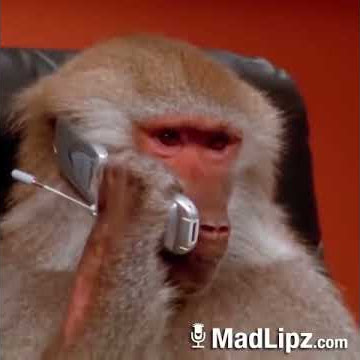 Madlipz Lampung Lucu nasehat