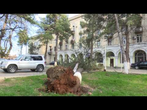 20.03.2017 რუსთავის მერმა ძლიერი ქარის შედეგად დაზიანებული კორპუსები დაათვალიერა